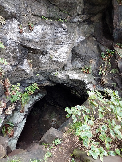 大房岬　洞穴